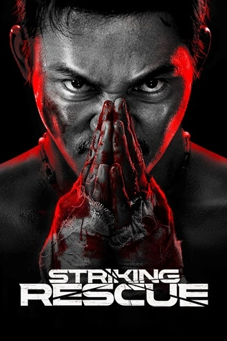 Download Striking Rescue | 2024 | Hindi (DD2.0) &amp; Chinese | Dual Audio | BluRay | Full Movie 480p 720p 1080p