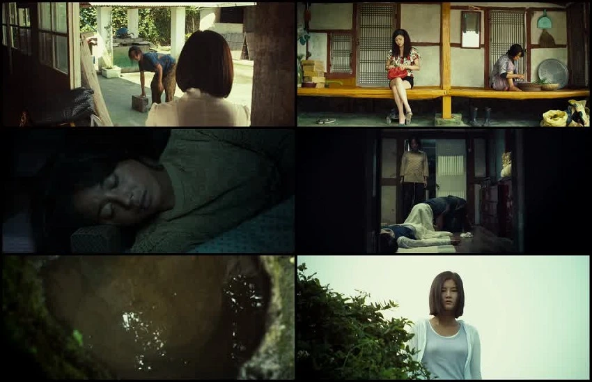 Download Bedevilled | 2010 | Hindi-Korean | Dual Audio | BluRay 480p 720p 1080p