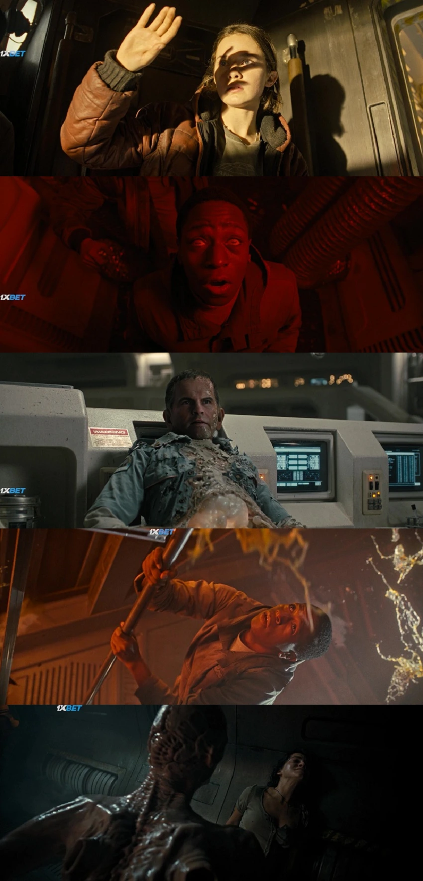 Download Alien: Romulus | 2024 | Hindi (LiNE) & English | 480p 720p 1080p