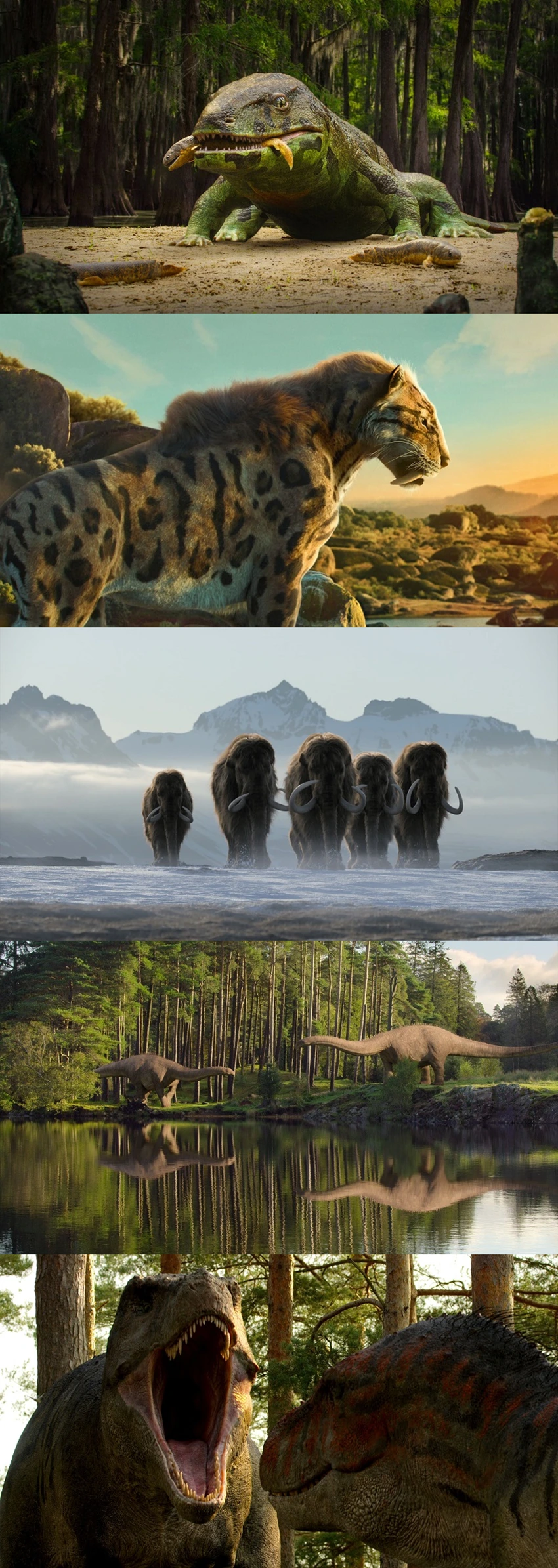 Download Life On Our Planet | 2023 | Season 1 | {Hindi- English}| Netflix Original Web Series | 480p 720p 1080p