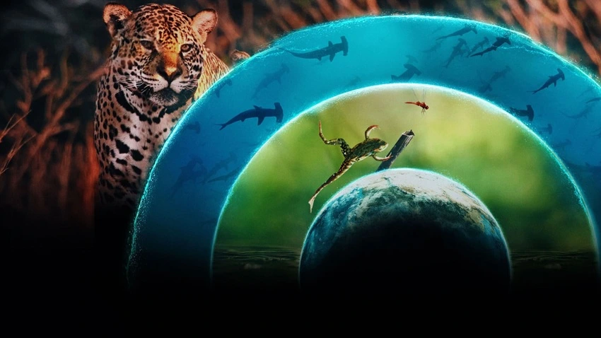DownloadOur Living World | 2024 | Season 1 | {Hindi-English}| Web Series | 480p 720p 1080p