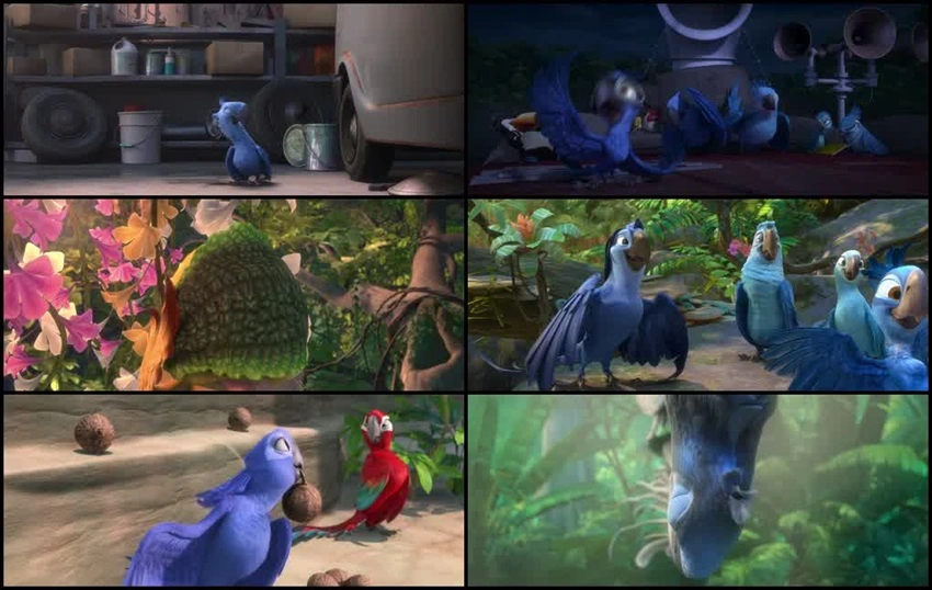 Download Rio 2 | 2014 | Hindi-English | Dual Audio | BluRay | Full Movie 480p 720p 1080p