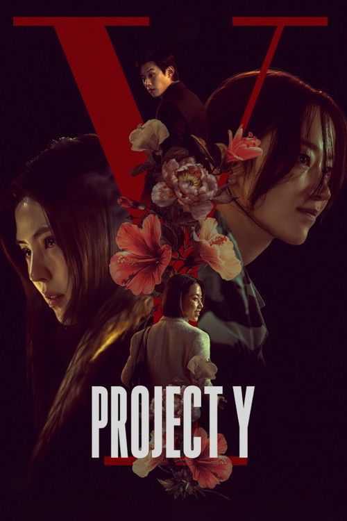 Download Project Y (2026) Hindi-Korean WEB-DL 480p 720p 1080p