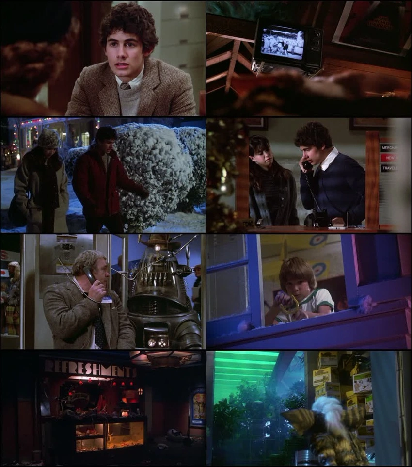 Download Gremlins | 1984 | Hindi-English | BluRay | Dual Audio | Full Movie 480p 720p 1080p