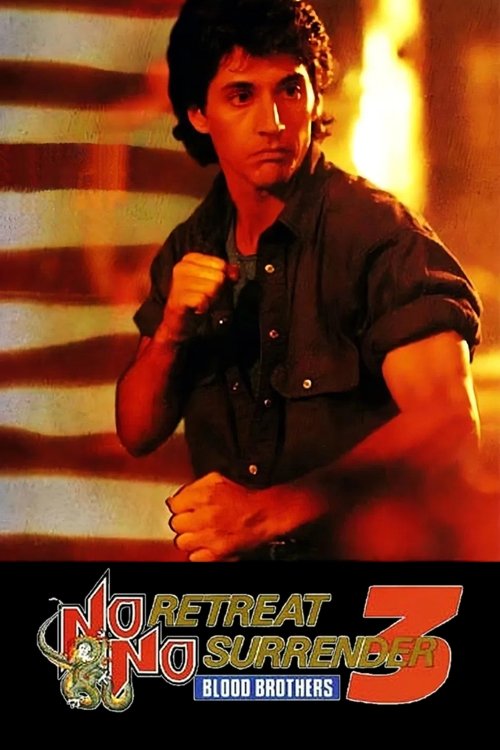 Download No Retreat, No Surrender 3: Blood Brothers (1990) Hindi Dubbed & English BluRay 480p 720p 1080p