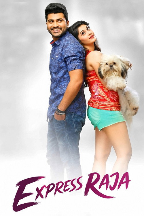 Download Express Raja (2016) Hindi Dubbed & Telugu WEB-DL 480p 720p 1080p