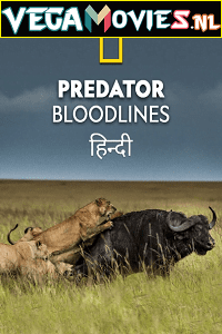 Download Predator Bloodlines (2021) Season 1 Hindi Complete DSNP WEB Series 480p | 720p HDRip