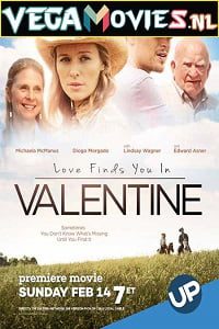 Download Love Finds You in Valentine (2016) Dual Audio {Hindi-English} 480p [300MB] | 720p [750MB]