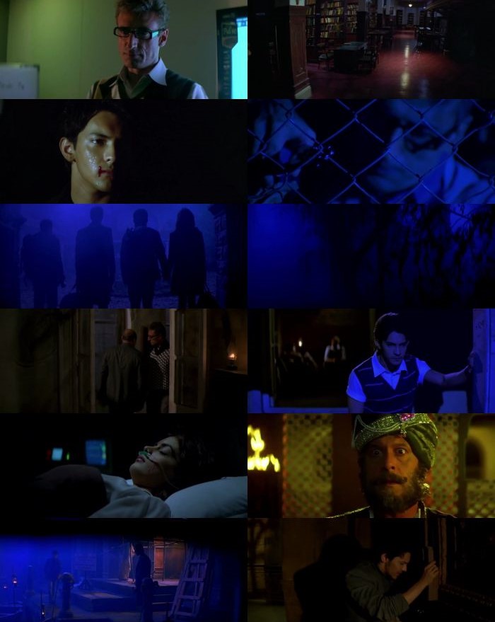 Download Shaapit: The Cursed (2010) Hindi Movie 480p [400MB] | 720p [1GB] BluRay